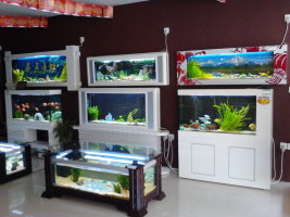 定做魚缸到武安亮點水族