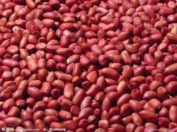 婚慶用品 農(nóng)產(chǎn)品花生