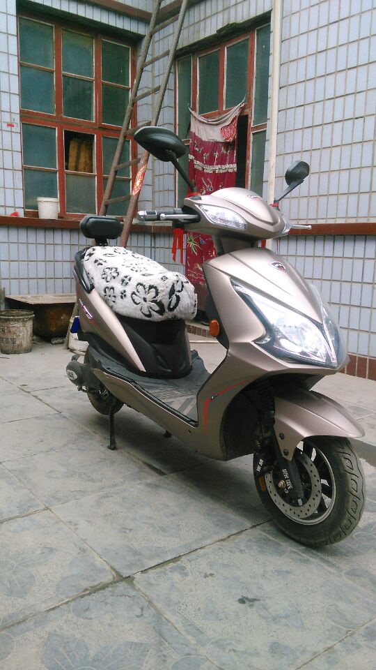 歐派x戰(zhàn)將