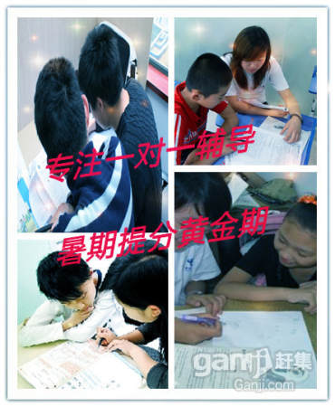 研究生中小學(xué)家教輔導(dǎo)