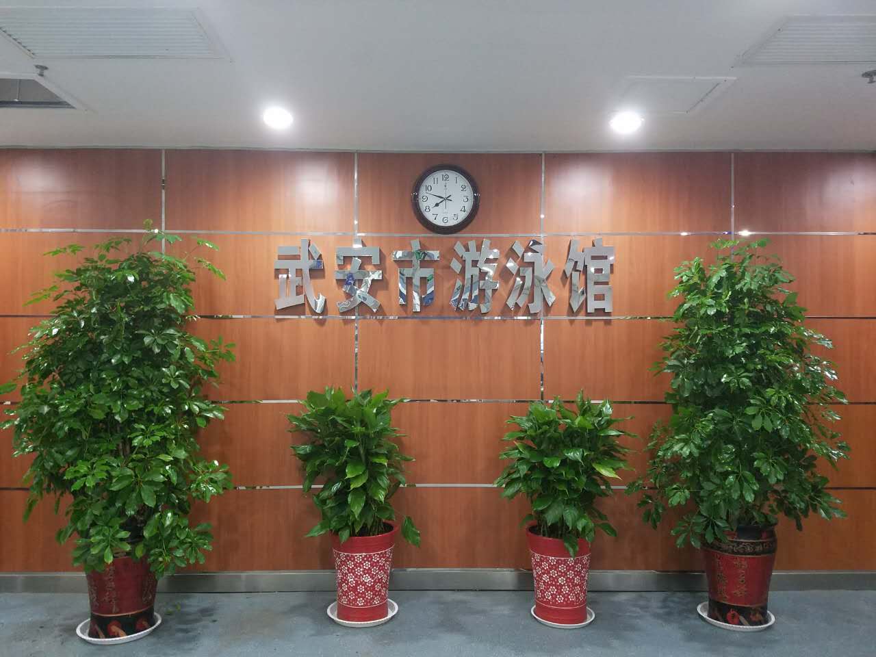 武安市體育中心游泳館